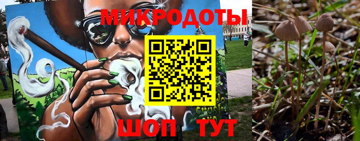 Галлюциногенные грибы мицелий Кострома