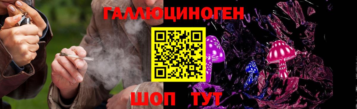 Псилоцибиновые грибы Psilocybine cubensis  Вход с VPN  Кострома 